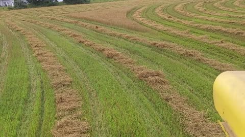 Combining Oats, Aug2020, w/JD 55