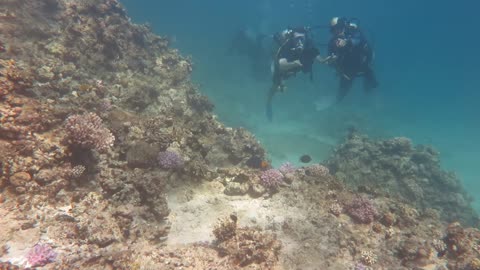 Scubadiving Egypt