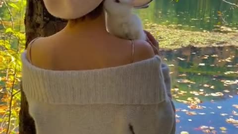 cute baby rabbit kiss