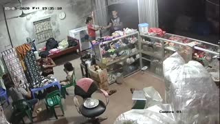 Ceiling Fan Attacks During Dinner