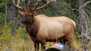 History of the Bureau of Land Management BLM