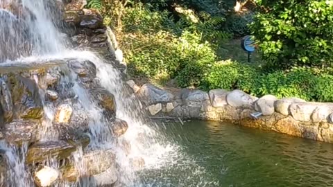 Beautiful waterfall in the garden