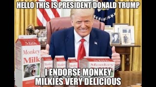 MONKEY MILKIES Episode 2: Milking the World