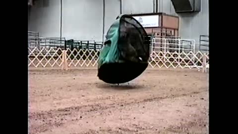 Dog Stuck In Tent Runs Around Dirt Arena