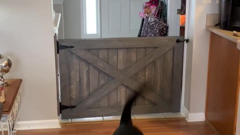 New gate? No worries.