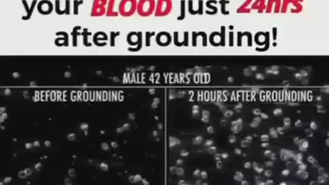 LOOK WHAT HAPPENS TO YOUR BLOOD 24HRS AFTER GROUNDING