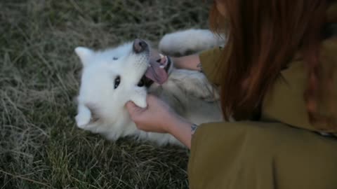 My friend Snow Dog.