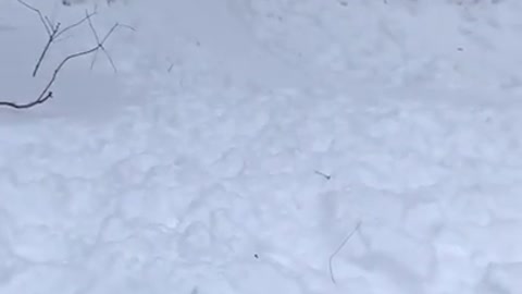 Snow side flip slide fail