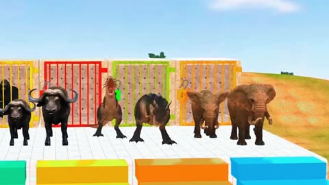 Paint Animals Gorilla Cow Tiger Lion Elephant Fontaine Crossing Animals Game