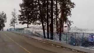 Large Snowflakes ❄️ falls in West Kelowna BC March 4 2024