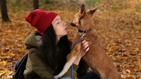 Hipster girl playing with her dog on autumn day