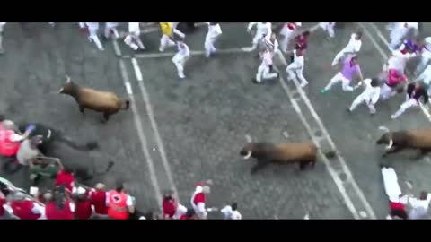 Three people were gored by bulls during celebrations in Pamplona