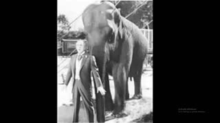 Jimmy Durante - Oct. 29, 1935 -Jumbo Show The Circus Is In Trouble