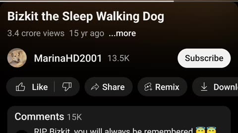 Sleep walking dog