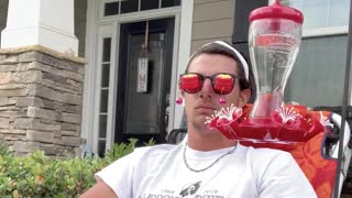 Hummingbird Feeds from Sunglasses