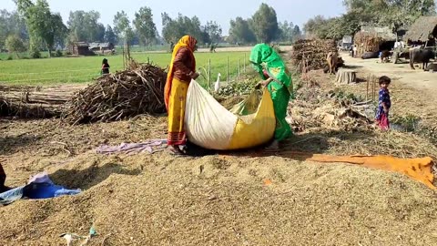 How Poor People Spend Their Life In The Rain || UP Rural Life In Indian || Rural Life India