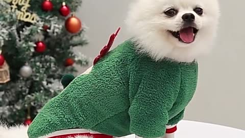 Winter Warm Christmas Dog Clothes Soft Pet Funny Dog Clothing For Cute Dogs Pajamas Fleece Pet Dogs