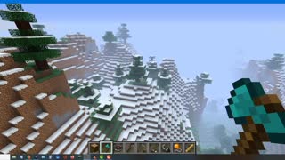 Minecraft vanilla skin version 1.17.1_5