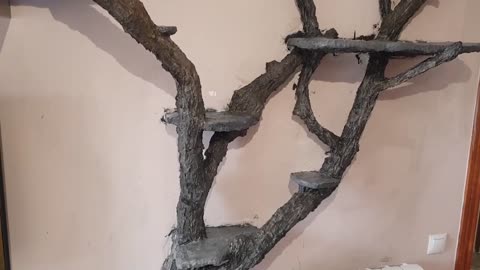 Arbol para gatos en cemento