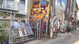 Mission | DoloresPark| Clarion Alley - San Francisco, California USA