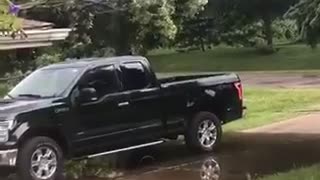 Downed Power Line Fries Tree in Michigan