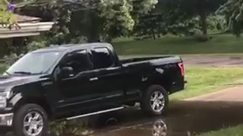 Downed Power Line Fries Tree in Michigan