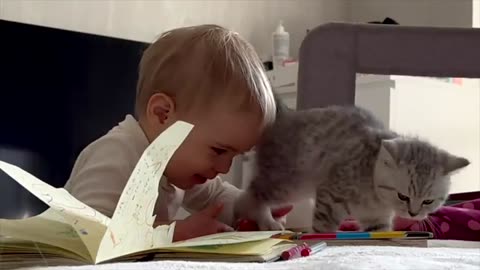 cute kitten with cute baby