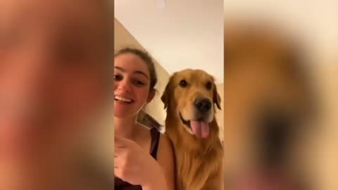 Dog Take Selfie, Dog Traning, Dog Traning Video, Dog Training