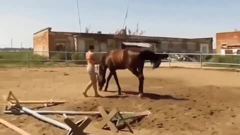 Best Horse Ever I Saw