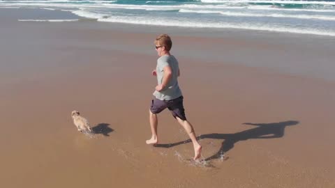 Running with dog on beach slow motion feet splashing water seascape