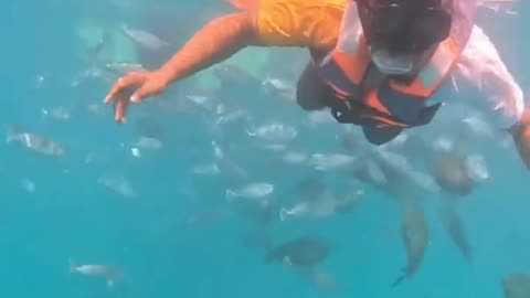 Maldive under water…