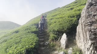 ILAM /VISIT NEPAL