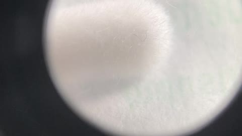 Nasal Bud Nano Worm Confirmation Test 1 - Dry Heat, No Moisture (Fail)