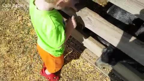 La compilación de niños y animales más lindos