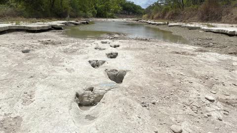 Texas: Dino tracks from 113 million years ago uncovered