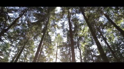 nature Cinematic video