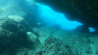 John Smith's Bay Scuba Dive