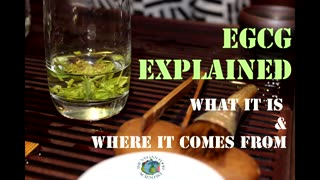 EGCG explained -in Dr. Zelenko's and Dr. McCullough's detox supplements