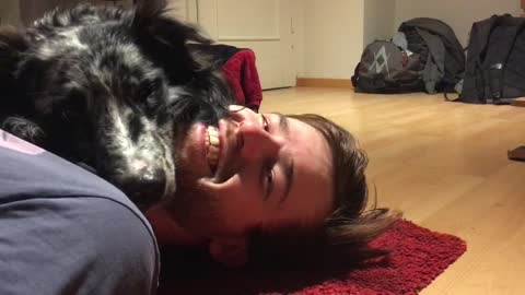 Super cute Australian Shepherd Morty comes to cuddle