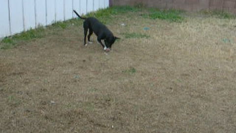 Mei Mei and her pink ball