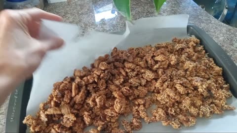 Low Sugar Candied Walnuts - walnuts, shredded coconut, egg white, sugar, stevia (optional), salt