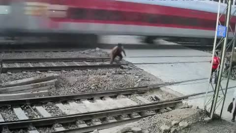 Railway dangerous accident 😱😱