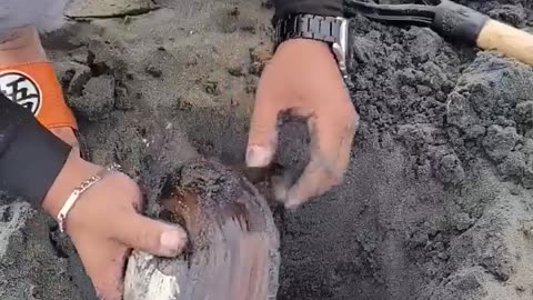 Digging a giant clamp