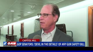 GOP Senators: 'Devil in the Details' of Any Gun Safety Bill