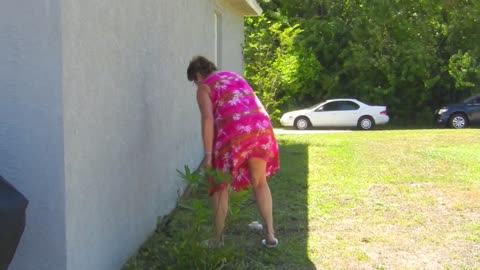 Grandma Falls Flat on Her Face While Catching Snake