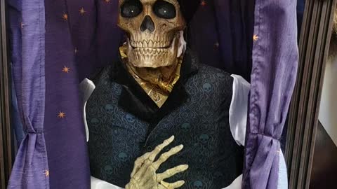 Skeleton Fortune Teller