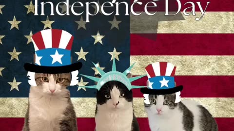 Happy Independence Day from the 3 Fuzzy Solos #happyindependenceday #happy4thofjuly