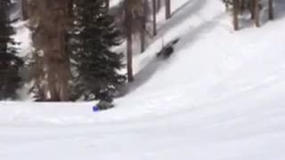Skiing guy far away goes down snow hill and faceplants into scorpion