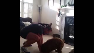 Excited Dog Mimics Her Owner's Exercises