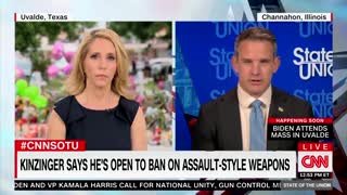 Rep. Kinzinger Say He Is 'Open' To An AR-15 Ban
